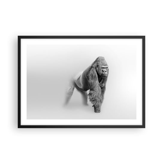 Obraz - Plakat - Pewny swej siły - 70x50cm - Zwierzęta Goryl Małpa - Nowoczesny modny obraz Plakat czarna rama ARTTOR ARTTOR