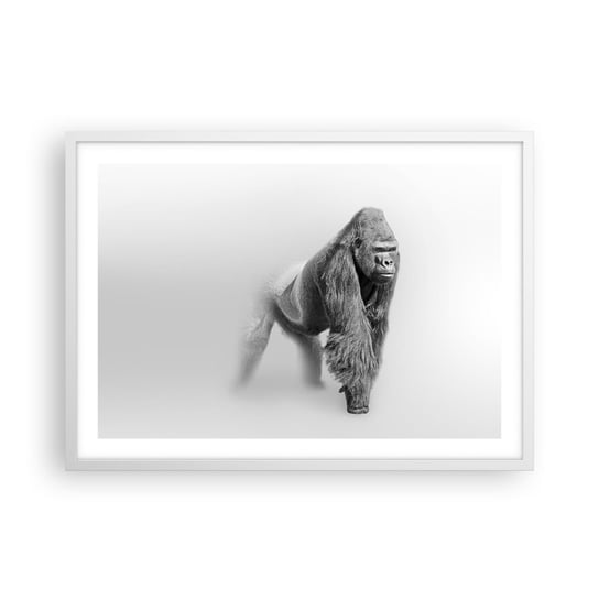 Obraz - Plakat - Pewny swej siły - 70x50cm - Zwierzęta Goryl Małpa - Nowoczesny modny obraz Plakat rama biała ARTTOR ARTTOR
