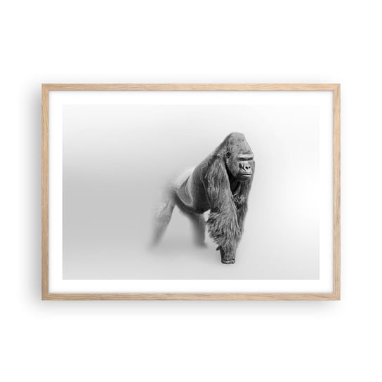 Obraz - Plakat - Pewny swej siły - 70x50cm - Zwierzęta Goryl Małpa - Nowoczesny modny obraz Plakat rama jasny dąb ARTTOR ARTTOR