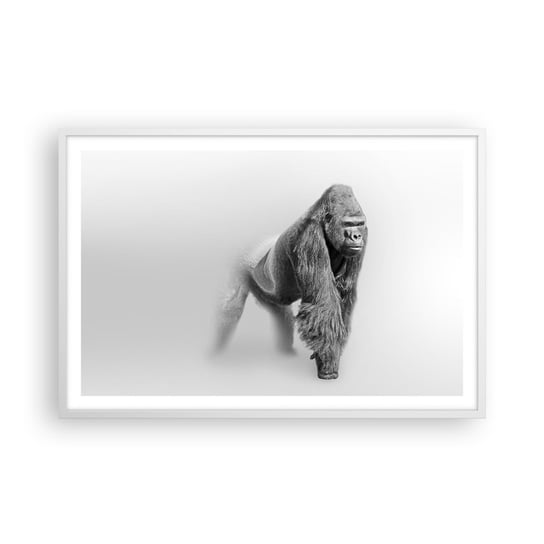 Obraz - Plakat - Pewny swej siły - 91x61cm - Zwierzęta Goryl Małpa - Foto Plakaty na ścianę w ramie białej - Plakat do Salonu Sypialni ARTTOR ARTTOR