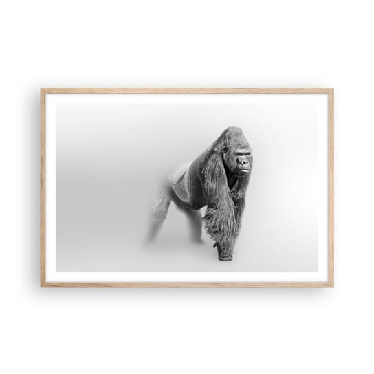 Obraz - Plakat - Pewny swej siły - 91x61cm - Zwierzęta Goryl Małpa - Foto Plakaty na ścianę w ramie jasny dąb - Plakat do Salonu Sypialni ARTTOR ARTTOR
