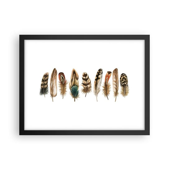 Obraz - Plakat - Pierzasta wariacja - 40x30cm - Ptasie Pióro Sztuka Boho - Foto Plakaty na ścianę w czarnej ramie - Plakat do Salonu Sypialni ARTTOR ARTTOR