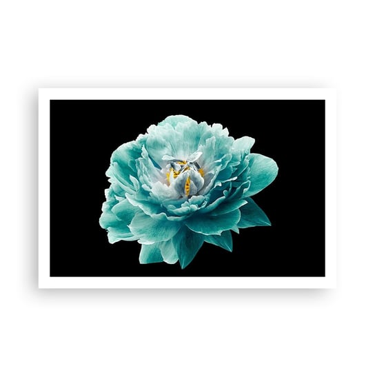 Obraz - Plakat - Płatki błękitne i złote - 91x61cm - Kwiat Kwitnący Piwonia - Foto Plakaty na ścianę bez ramy - Plakat do Salonu Sypialni ARTTOR ARTTOR