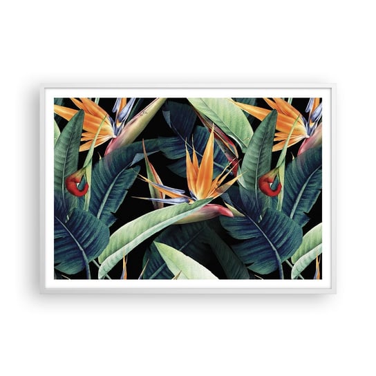 Obraz - Plakat - Płomienne kwiaty tropików - 100x70cm - Strelicja Królewska Kwiat Afryka - Foto Plakaty w ramie koloru białego do Salonu Sypialni ARTTOR ARTTOR