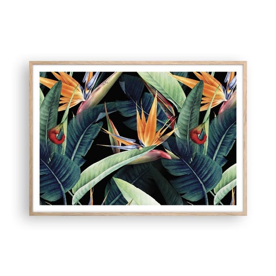 Obraz - Plakat - Płomienne kwiaty tropików - 100x70cm - Strelicja Królewska Kwiat Afryka - Foto Plakaty w ramie koloru jasny dąb do Salonu Sypialni ARTTOR ARTTOR