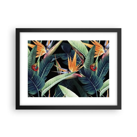 Obraz - Plakat - Płomienne kwiaty tropików - 40x30cm - Strelicja Królewska Kwiat Afryka - Foto Plakaty na ścianę w czarnej ramie - Plakat do Salonu Sypialni ARTTOR ARTTOR
