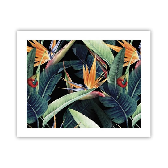 Obraz - Plakat - Płomienne kwiaty tropików - 50x40cm - Strelicja Królewska Kwiat Afryka - Foto Plakaty bez ramy do Salonu Sypialni ARTTOR ARTTOR