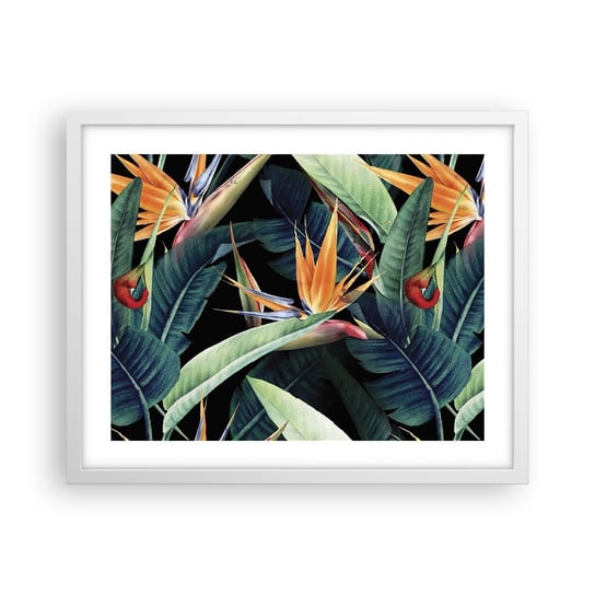 Obraz - Plakat - Płomienne kwiaty tropików - 50x40cm - Strelicja Królewska Kwiat Afryka - Foto Plakaty w ramie koloru białego do Salonu Sypialni ARTTOR ARTTOR