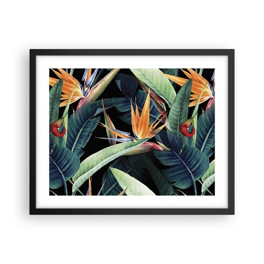 Obraz - Plakat - Płomienne kwiaty tropików - 50x40cm - Strelicja Królewska Kwiat Afryka - Foto Plakaty w ramie koloru czarnego do Salonu Sypialni ARTTOR ARTTOR