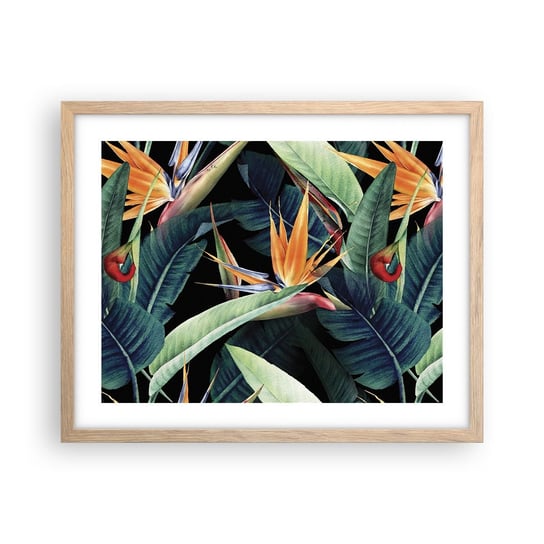 Obraz - Plakat - Płomienne kwiaty tropików - 50x40cm - Strelicja Królewska Kwiat Afryka - Foto Plakaty w ramie koloru jasny dąb do Salonu Sypialni ARTTOR ARTTOR
