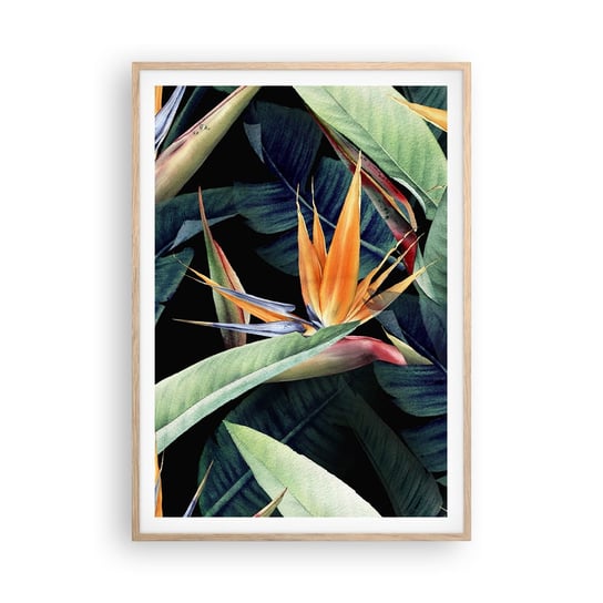 Obraz - Plakat - Płomienne kwiaty tropików - 70x100cm - Strelicja Królewska Kwiat Afryka - Foto Plakaty w ramie koloru jasny dąb do Salonu Sypialni ARTTOR ARTTOR