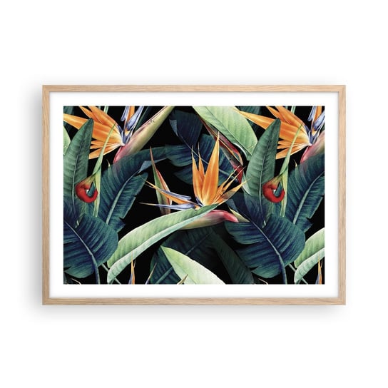 Obraz - Plakat - Płomienne kwiaty tropików - 70x50cm - Strelicja Królewska Kwiat Afryka - Nowoczesny modny obraz Plakat rama jasny dąb ARTTOR ARTTOR