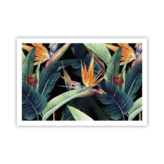 Obraz - Plakat - Płomienne kwiaty tropików - 91x61cm - Strelicja Królewska Kwiat Afryka - Foto Plakaty na ścianę bez ramy - Plakat do Salonu Sypialni ARTTOR ARTTOR