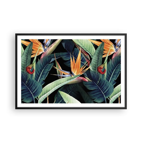 Obraz - Plakat - Płomienne kwiaty tropików - 91x61cm - Strelicja Królewska Kwiat Afryka - Foto Plakaty na ścianę w czarnej ramie - Plakat do Salonu Sypialni ARTTOR ARTTOR