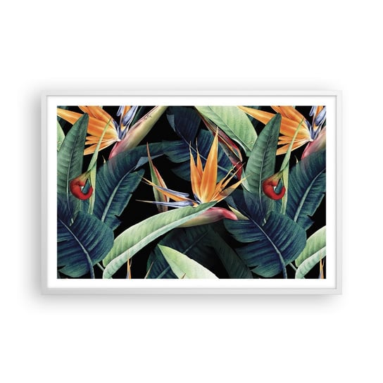 Obraz - Plakat - Płomienne kwiaty tropików - 91x61cm - Strelicja Królewska Kwiat Afryka - Foto Plakaty na ścianę w ramie białej - Plakat do Salonu Sypialni ARTTOR ARTTOR