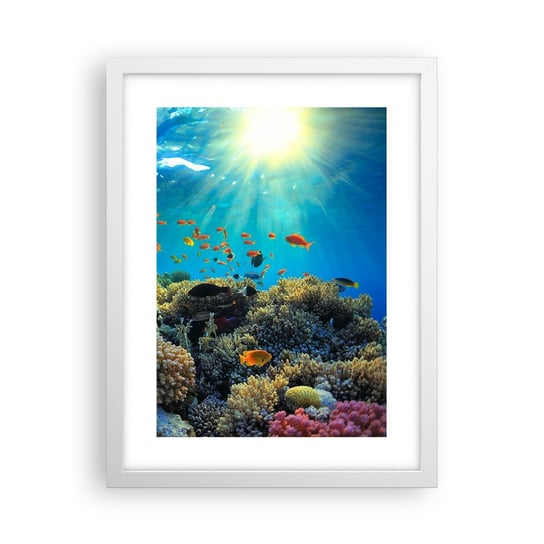 Obraz - Plakat - Podwodne skarby - 30x40cm - Rafa Koralowa Ocean Morski - Foto Plakaty na ścianę w ramie białej - Plakat do Salonu Sypialni ARTTOR ARTTOR