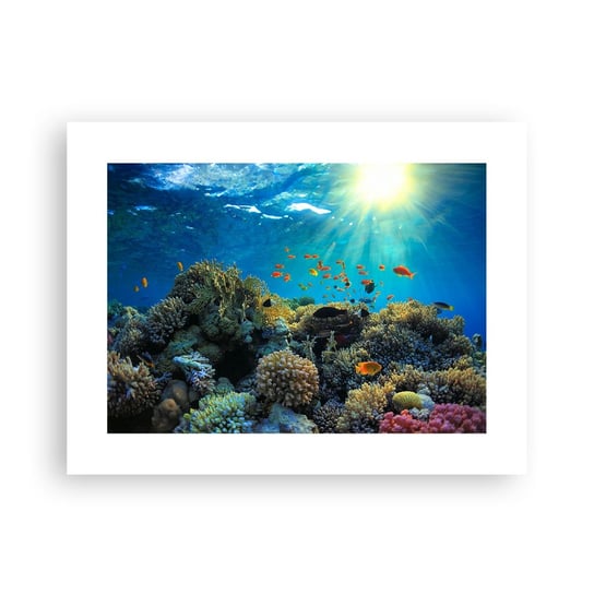 Obraz - Plakat - Podwodne skarby - 40x30cm - Rafa Koralowa Ocean Morski - Foto Plakaty na ścianę bez ramy - Plakat do Salonu Sypialni ARTTOR ARTTOR