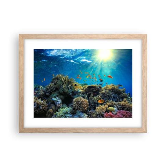 Obraz - Plakat - Podwodne skarby - 40x30cm - Rafa Koralowa Ocean Morski - Foto Plakaty na ścianę w ramie jasny dąb - Plakat do Salonu Sypialni ARTTOR ARTTOR