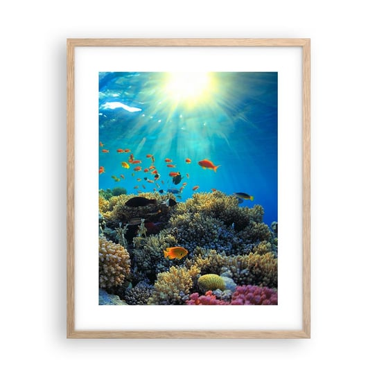 Obraz - Plakat - Podwodne skarby - 40x50cm - Rafa Koralowa Ocean Morski - Foto Plakaty w ramie koloru jasny dąb do Salonu Sypialni ARTTOR ARTTOR