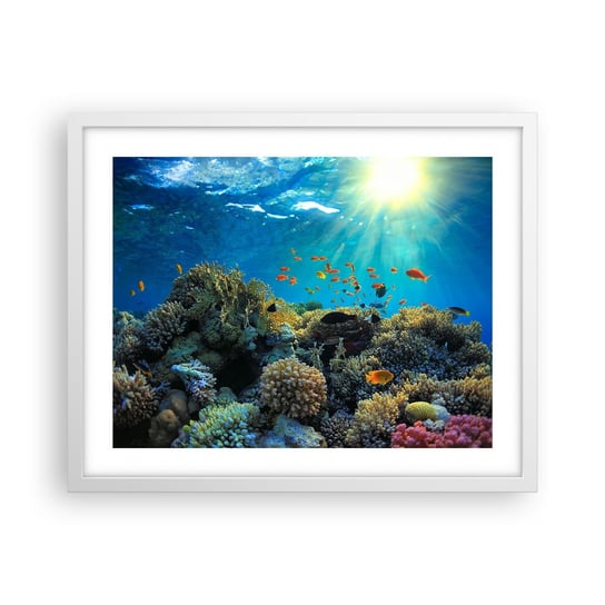 Obraz - Plakat - Podwodne skarby - 50x40cm - Rafa Koralowa Ocean Morski - Foto Plakaty w ramie koloru białego do Salonu Sypialni ARTTOR ARTTOR