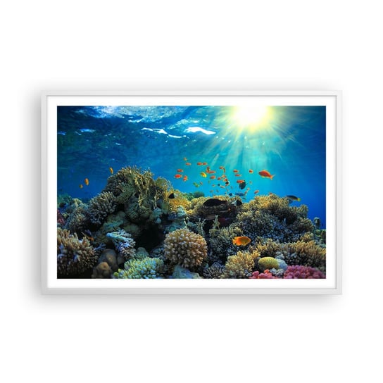 Obraz - Plakat - Podwodne skarby - 91x61cm - Rafa Koralowa Ocean Morski - Foto Plakaty na ścianę w ramie białej - Plakat do Salonu Sypialni ARTTOR ARTTOR