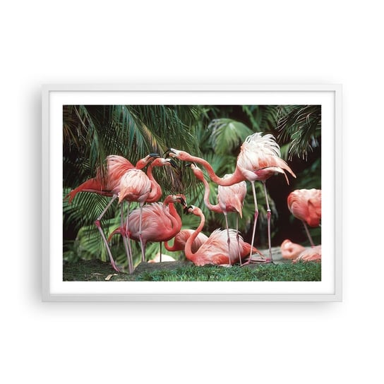 Obraz - Plakat - Popołudniowe ploteczki - 70x50cm - Stado Flamingów Ptak Natura - Nowoczesny modny obraz Plakat rama biała ARTTOR ARTTOR