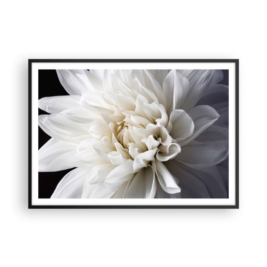 Obraz - Plakat - Poranek Panny Młodej - 100x70cm - Kwiat Dalia Natura - Foto Plakaty w ramie koloru czarnego do Salonu Sypialni ARTTOR ARTTOR