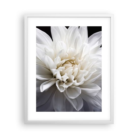 Obraz - Plakat - Poranek Panny Młodej - 40x50cm - Kwiat Dalia Natura - Foto Plakaty w ramie koloru białego do Salonu Sypialni ARTTOR ARTTOR