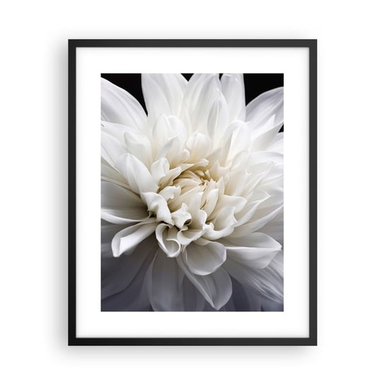 Obraz - Plakat - Poranek Panny Młodej - 40x50cm - Kwiat Dalia Natura - Foto Plakaty w ramie koloru czarnego do Salonu Sypialni ARTTOR ARTTOR