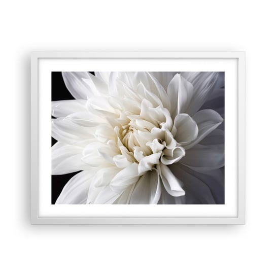Obraz - Plakat - Poranek Panny Młodej - 50x40cm - Kwiat Dalia Natura - Foto Plakaty w ramie koloru białego do Salonu Sypialni ARTTOR ARTTOR