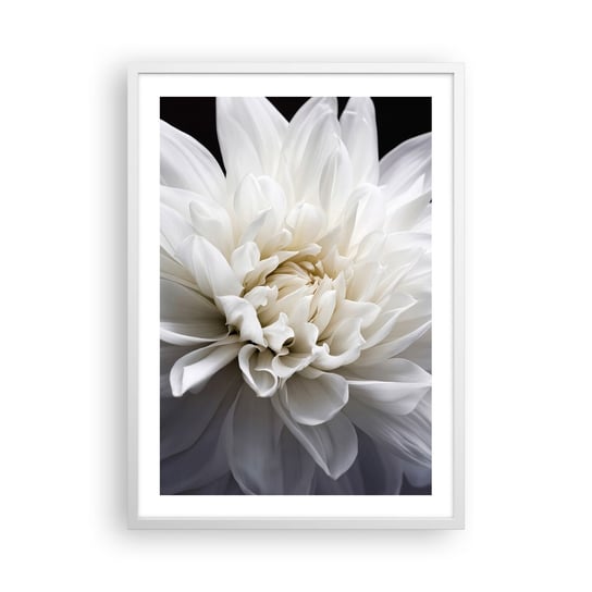 Obraz - Plakat - Poranek Panny Młodej - 50x70cm - Kwiat Dalia Natura - Nowoczesny modny obraz Plakat rama biała ARTTOR ARTTOR