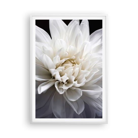 Obraz - Plakat - Poranek Panny Młodej - 70x100cm - Kwiat Dalia Natura - Foto Plakaty w ramie koloru białego do Salonu Sypialni ARTTOR ARTTOR