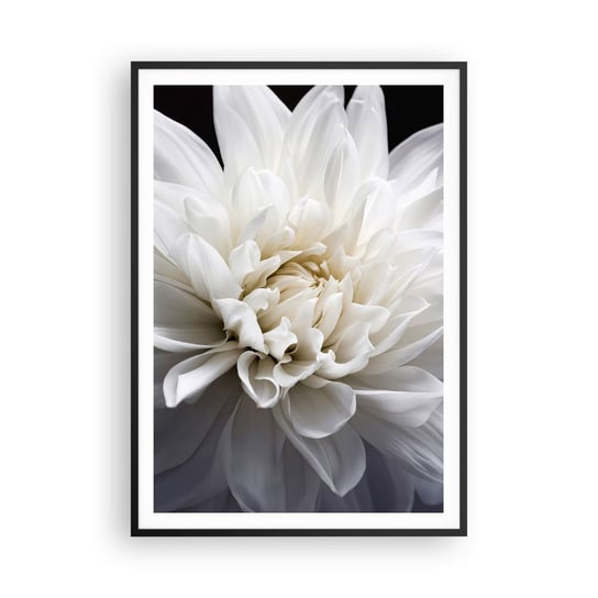 Obraz - Plakat - Poranek Panny Młodej - 70x100cm - Kwiat Dalia Natura - Foto Plakaty w ramie koloru czarnego do Salonu Sypialni ARTTOR ARTTOR