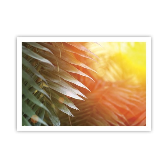 Obraz - Plakat - Poranek w dżungli - 100x70cm - Palma Kokosowa Liście Palmy Dżungla - Foto Plakaty bez ramy na ścianę do Salonu Sypialni ARTTOR ARTTOR