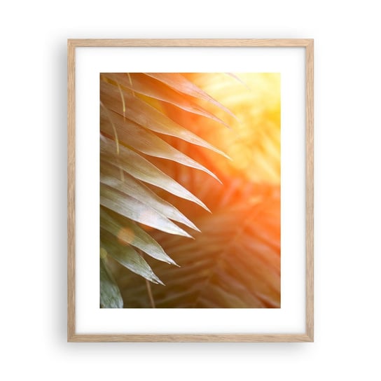 Obraz - Plakat - Poranek w dżungli - 40x50cm - Palma Kokosowa Liście Palmy Dżungla - Foto Plakaty w ramie koloru jasny dąb do Salonu Sypialni ARTTOR ARTTOR