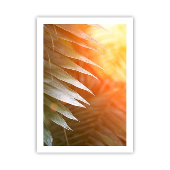 Obraz - Plakat - Poranek w dżungli - 50x70cm - Palma Kokosowa Liście Palmy Dżungla - Nowoczesny modny obraz Plakat bez ramy do Salonu Sypialni ARTTOR ARTTOR