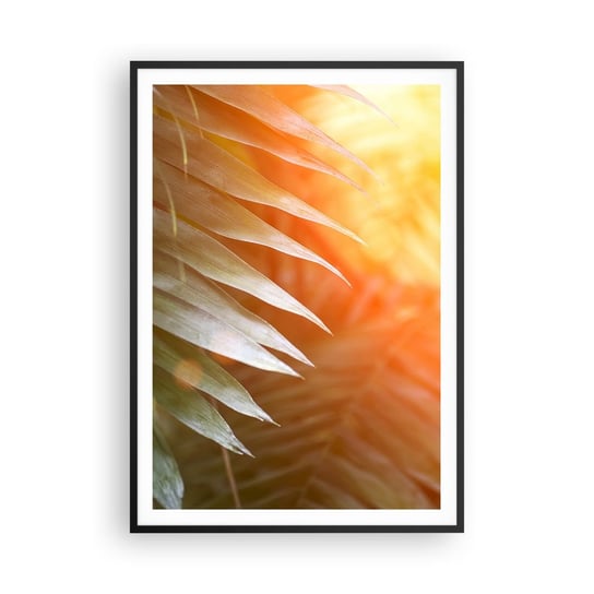 Obraz - Plakat - Poranek w dżungli - 70x100cm - Palma Kokosowa Liście Palmy Dżungla - Foto Plakaty w ramie koloru czarnego do Salonu Sypialni ARTTOR ARTTOR