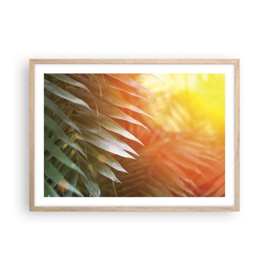 Obraz - Plakat - Poranek w dżungli - 70x50cm - Palma Kokosowa Liście Palmy Dżungla - Nowoczesny modny obraz Plakat rama jasny dąb ARTTOR ARTTOR
