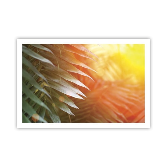 Obraz - Plakat - Poranek w dżungli - 91x61cm - Palma Kokosowa Liście Palmy Dżungla - Foto Plakaty na ścianę bez ramy - Plakat do Salonu Sypialni ARTTOR ARTTOR