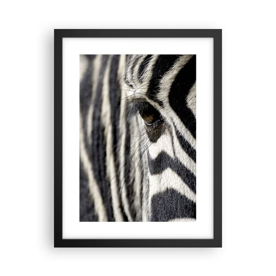 Obraz - Plakat - Portret w paski - 30x40cm - Zwierzęta Zebra Afryka - Foto Plakaty na ścianę w czarnej ramie - Plakat do Salonu Sypialni ARTTOR ARTTOR