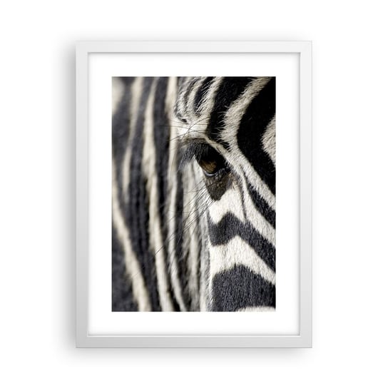 Obraz - Plakat - Portret w paski - 30x40cm - Zwierzęta Zebra Afryka - Foto Plakaty na ścianę w ramie białej - Plakat do Salonu Sypialni ARTTOR ARTTOR