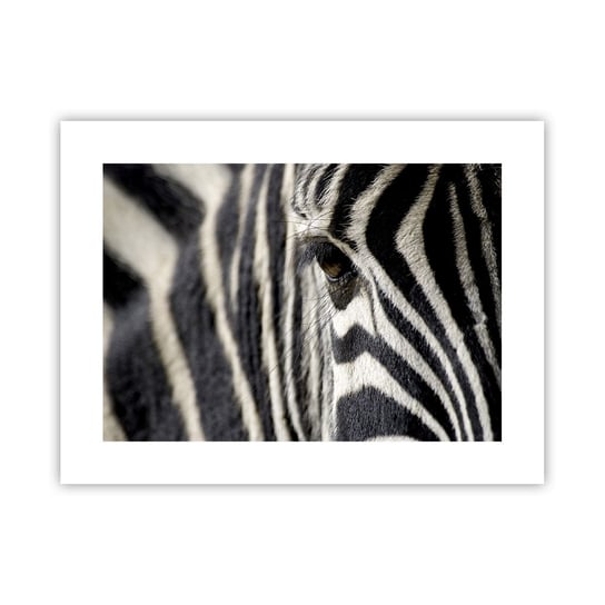 Obraz - Plakat - Portret w paski - 40x30cm - Zwierzęta Zebra Afryka - Foto Plakaty na ścianę bez ramy - Plakat do Salonu Sypialni ARTTOR ARTTOR