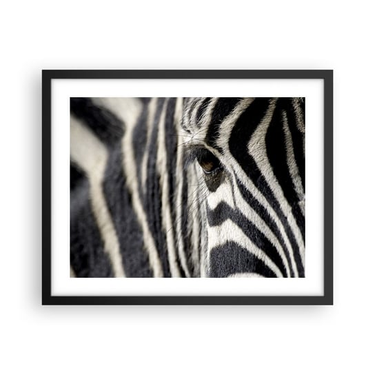 Obraz - Plakat - Portret w paski - 50x40cm - Zwierzęta Zebra Afryka - Foto Plakaty w ramie koloru czarnego do Salonu Sypialni ARTTOR ARTTOR