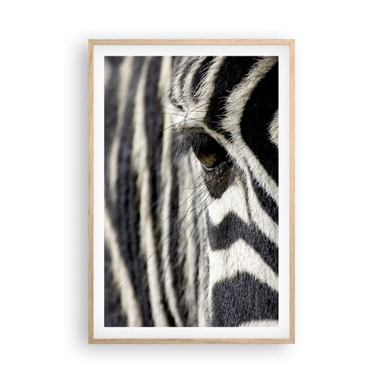 Obraz - Plakat - Portret w paski - 61x91cm - Zwierzęta Zebra Afryka - Foto Plakaty na ścianę w ramie jasny dąb - Plakat do Salonu Sypialni ARTTOR ARTTOR