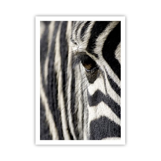 Obraz - Plakat - Portret w paski - 70x100cm - Zwierzęta Zebra Afryka - Foto Plakaty bez ramy na ścianę do Salonu Sypialni ARTTOR ARTTOR