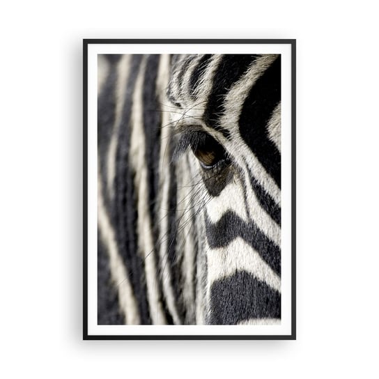 Obraz - Plakat - Portret w paski - 70x100cm - Zwierzęta Zebra Afryka - Foto Plakaty w ramie koloru czarnego do Salonu Sypialni ARTTOR ARTTOR