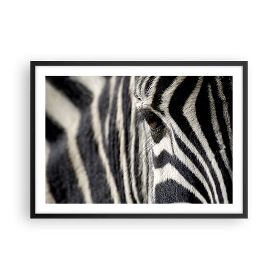 Obraz - Plakat - Portret w paski - 70x50cm - Zwierzęta Zebra Afryka - Nowoczesny modny obraz Plakat czarna rama ARTTOR ARTTOR