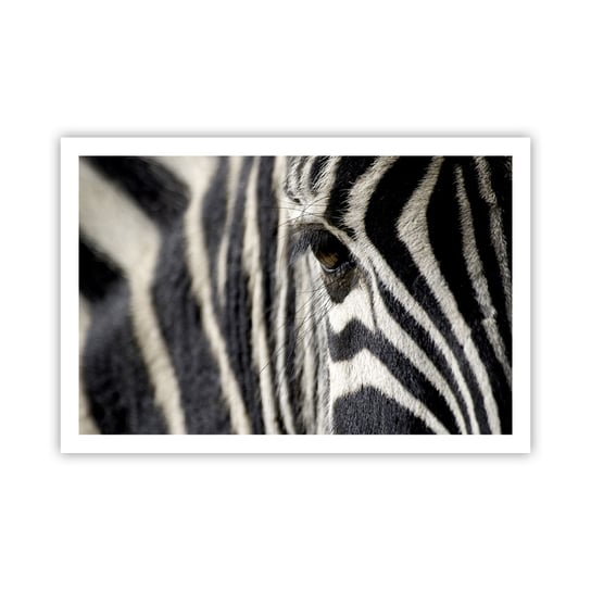 Obraz - Plakat - Portret w paski - 91x61cm - Zwierzęta Zebra Afryka - Foto Plakaty na ścianę bez ramy - Plakat do Salonu Sypialni ARTTOR ARTTOR