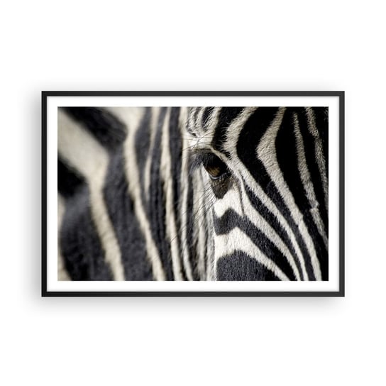 Obraz - Plakat - Portret w paski - 91x61cm - Zwierzęta Zebra Afryka - Foto Plakaty na ścianę w czarnej ramie - Plakat do Salonu Sypialni ARTTOR ARTTOR