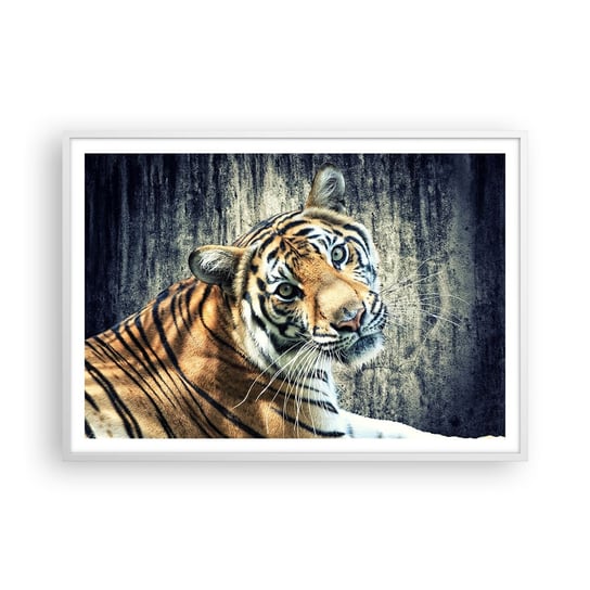 Obraz - Plakat - Portret w strugach światła - 100x70cm - Zwierzęta Tygrys Afryka - Foto Plakaty w ramie koloru białego do Salonu Sypialni ARTTOR ARTTOR